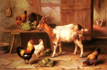 Cabras y gallinas alimentándose en una cabaña interior animales de granja Edgar Hunt Pinturas al óleo